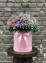 Цветочная композиция из Гипсофила и Розы в шляпной коробке #REPLACE_PRED# Хатунь
