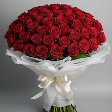 Букет 101 Красная роза Блэк Мэджик в Хатунь