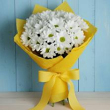 Букет цветов из:  Хризантемы в Хатунь
