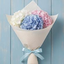 Букет цветов из:  Гортензия в Хатунь