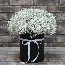 Цветочная композиция из Гипсофила в шляпной коробке #REPLACE_PRED# Хатунь