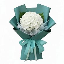 Букет цветов из:  Гортензия в Хатунь